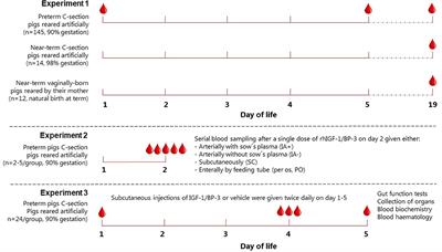 Supplemental Insulin-Like Growth Factor-1 and Necrotizing Enterocolitis in Preterm Pigs